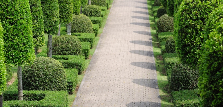 Choosing the Right Landscape Contractor in Plymouth, MN, to Transform Your Yard