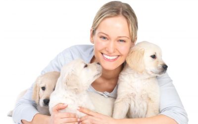 Factors To Consider When Using Dog Daycare In Upper East Side